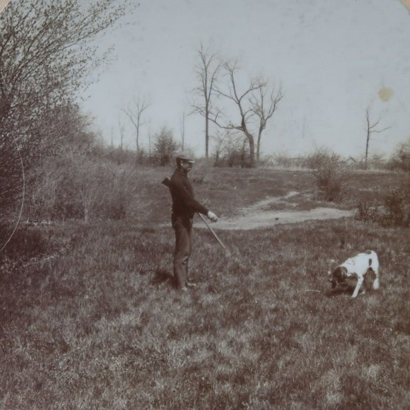 c1920s Bird Quail Hunter with Dog Retrieving Game Stereoview Griffith 74 - Picture 1 of 5
